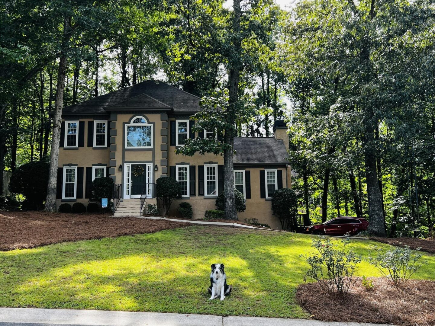 A dog sitting in front of a house