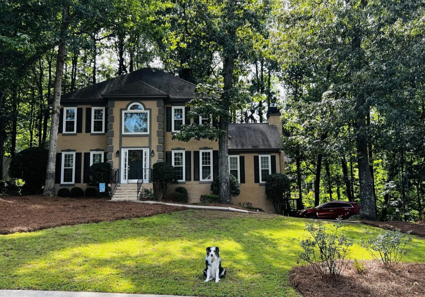 A dog sitting in front of a house